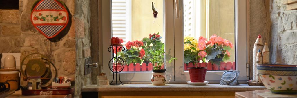 B&B Petra Trieste Ngoại thất bức ảnh